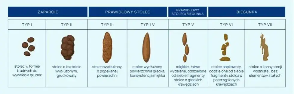 Jakie badania z kału pomogą w diagnozie problemów zdrowotnych?