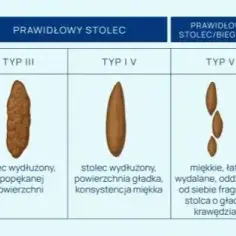 Jakie badania z kału pomogą w diagnozie problemów zdrowotnych?