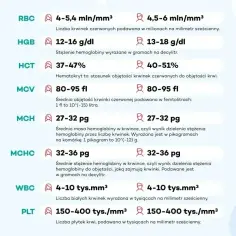 Tabela norm parametrów krwi: RBC, HGB, HCT, MCV (średnia objętość krwinki), MCH, MCHC, WBC, PLT. MCV co to? To średnia objętość krwinki czerwonej.