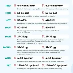 Tabela z wynikami mch morfologia: RBC, HGB, HCT, MCV, MCH, MCHC, WBC, PLT. Podane są normy dla każdego parametru.