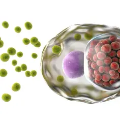 Chlamydia jakie badania? Odkryj skuteczne metody diagnostyki