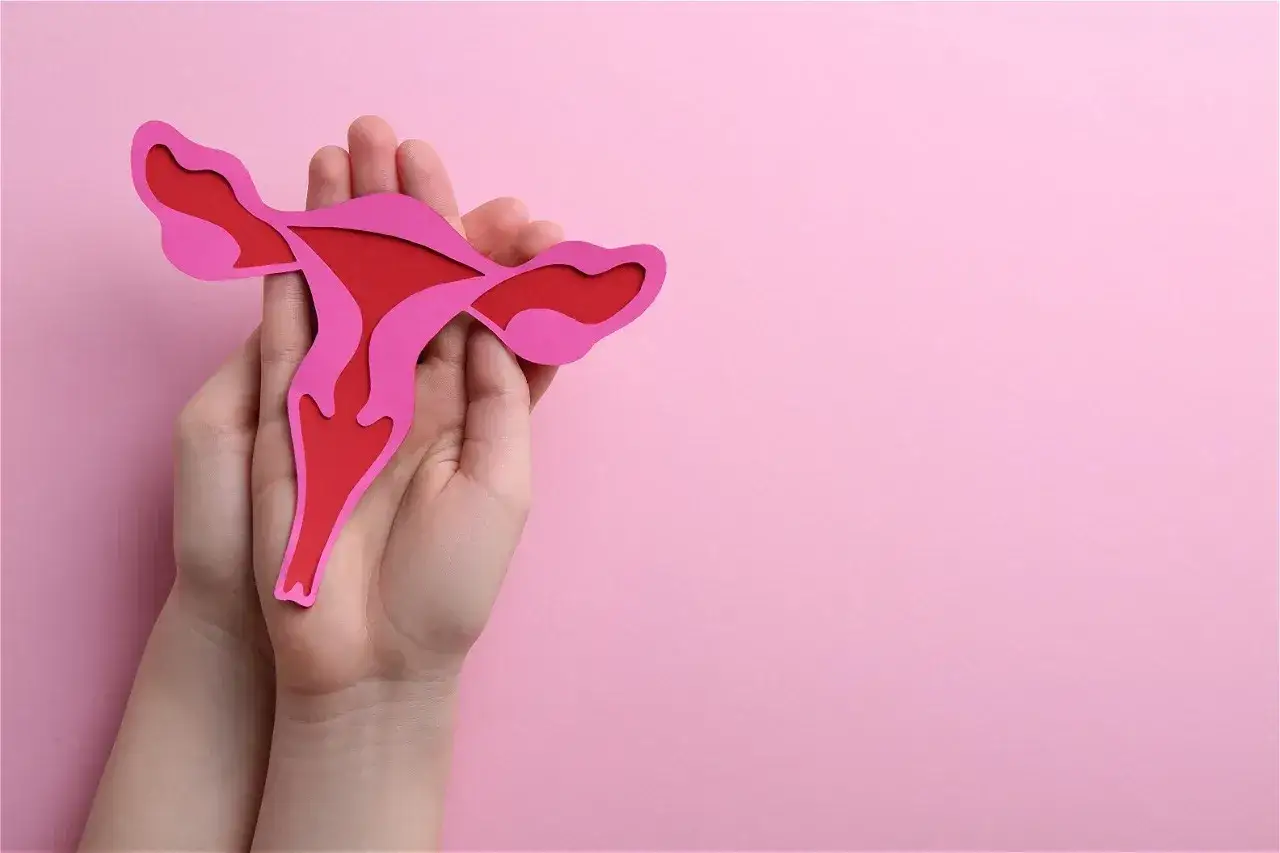 Zdjęcie Przerost endometrium po menopauzie objawy, które mogą zaskoczyć
