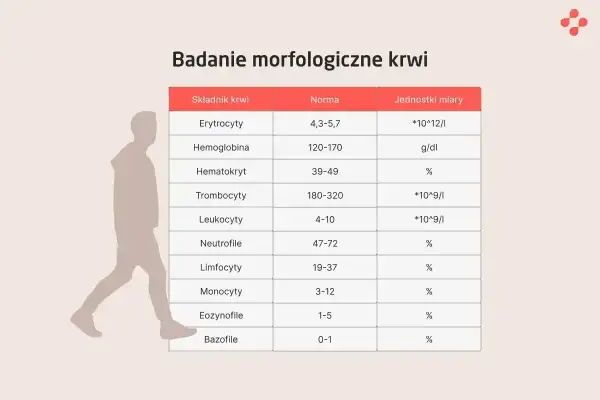Granulocyty w morfologii - Co oznaczają i kiedy alarmują?